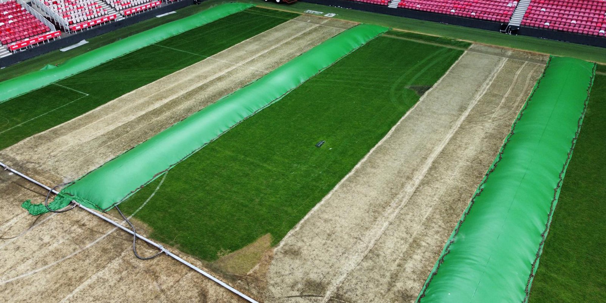 Grondstomen-Grondstomen-professionele-grasvelden