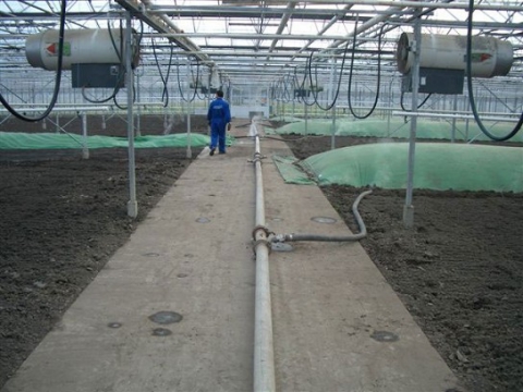 Grondstomen in de glastuinbouw